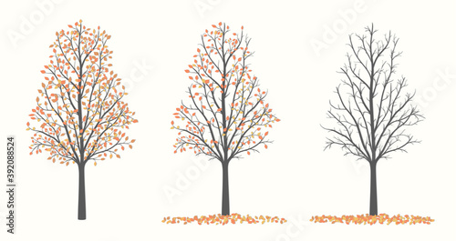 Autumn tree in three versions