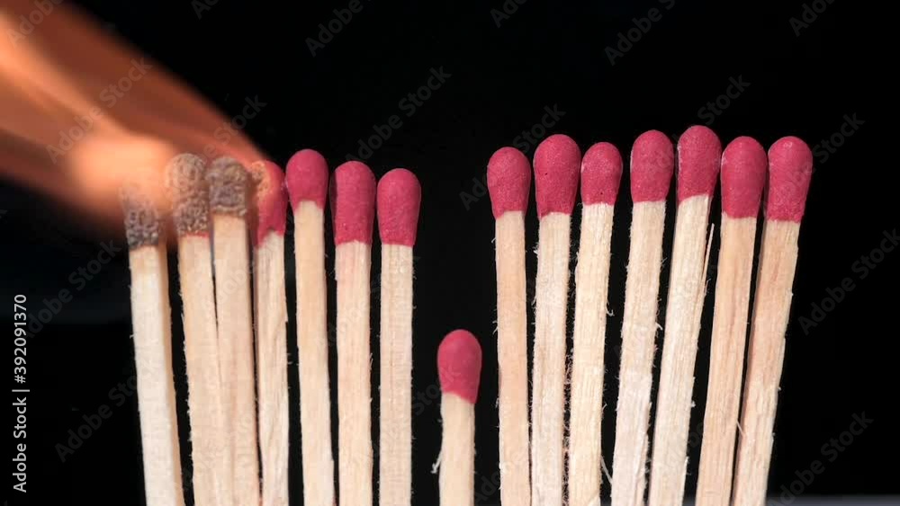 Matches in a row burning until one of them is out of the way and cuts the transmission, a metaphor about how to stop the transmission of the coronavirus with social distance Matches in a row burning until one of them is out of the way and cuts the transmission, a metaphor about how to stop the transmission of the coronavirus with social distance