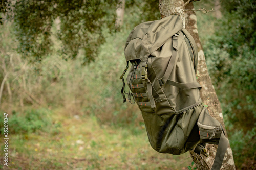 Close-up of green mountain or camping backpack hanging from a tree in the green forest of Mediterranean landscape.