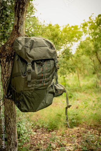 Close-up of green mountain or camping backpack hanging from a tree in the green forest with bright sunlight in the background