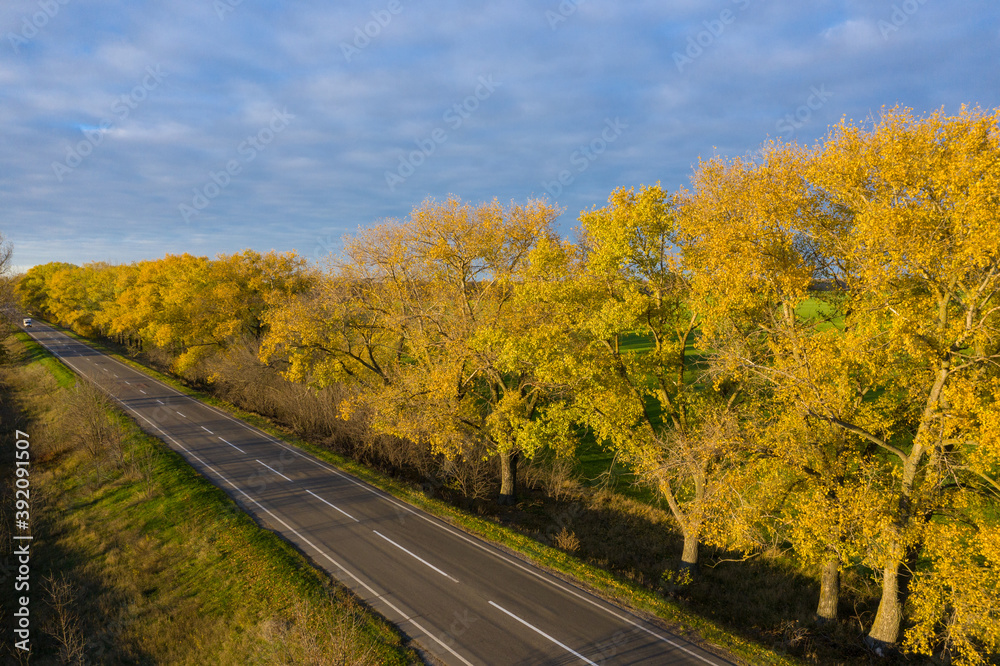 Fototapeta premium Asphalt road with fallen leaves in autumn at the sunset aerial view.