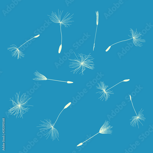 Vector drawing, dandelion blue background. Gift boxes for decoration of postcards, holiday, decoration