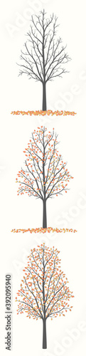 Drawing of an autumn tree in three versions