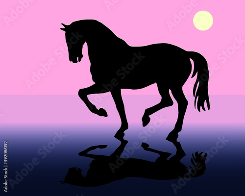 romantic drawn black silhouette of a prancing horse isolated on a colored background and reflection
