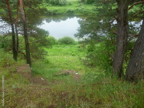 river in the forest