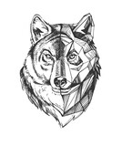 wolf howling engraved portrait