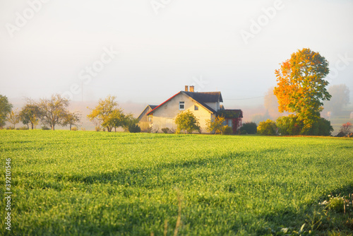 Foto Modern brick country house (cottage) and green plowed agricultural field in a morning fog