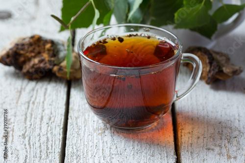  Chaga Birch Mushroom, Organic Hot Drink. Light background