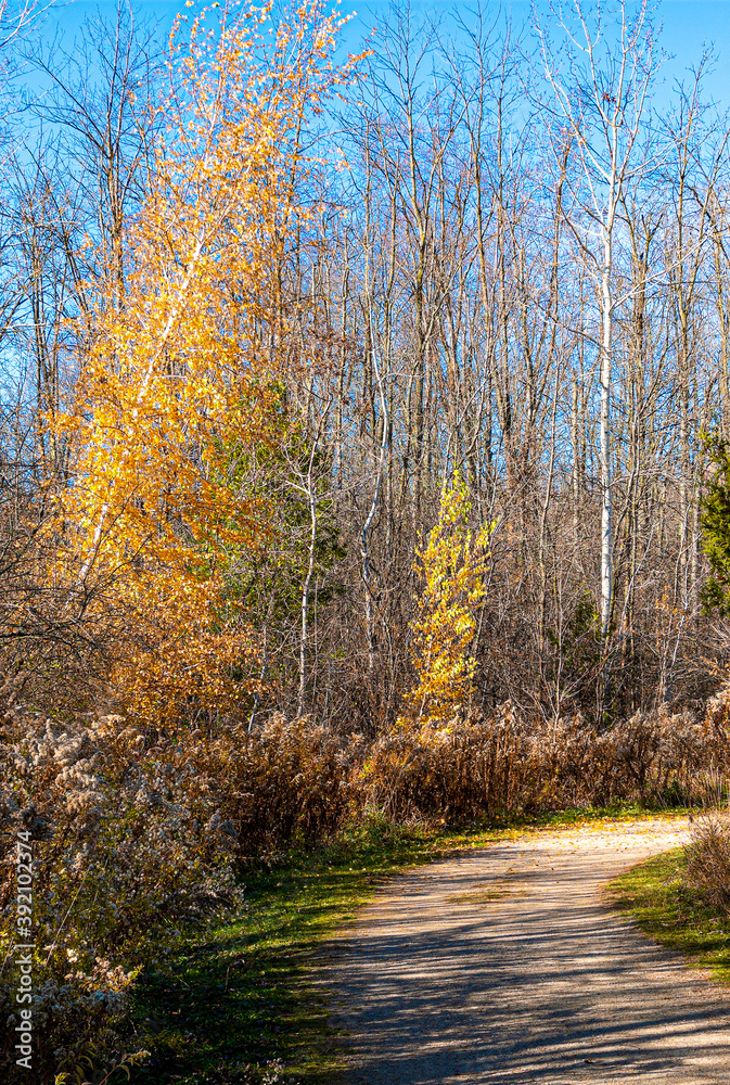 The last warm days of autumn The last warm days of autumn