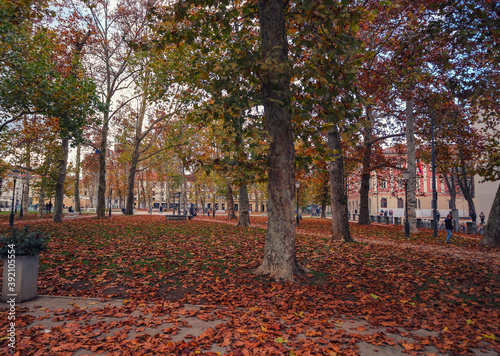 Ljubljana city park covered in fallen leaves during autumn season