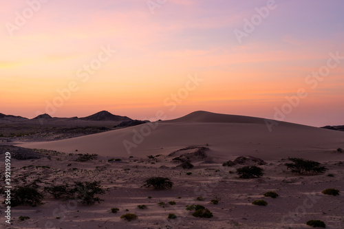 Sunset in the desert