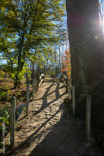 A Wooden Bridge on a Clear Autumn Day With the Sun Shining