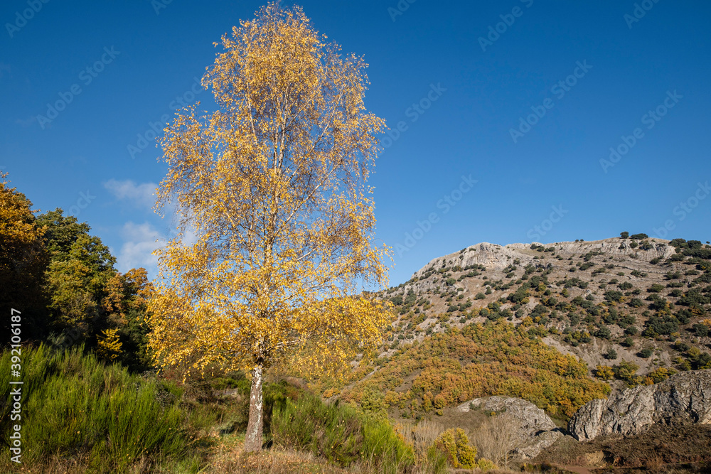 Ciñera de Gordón, Leon, Spain Ciñera de Gordón, Leon, Spain