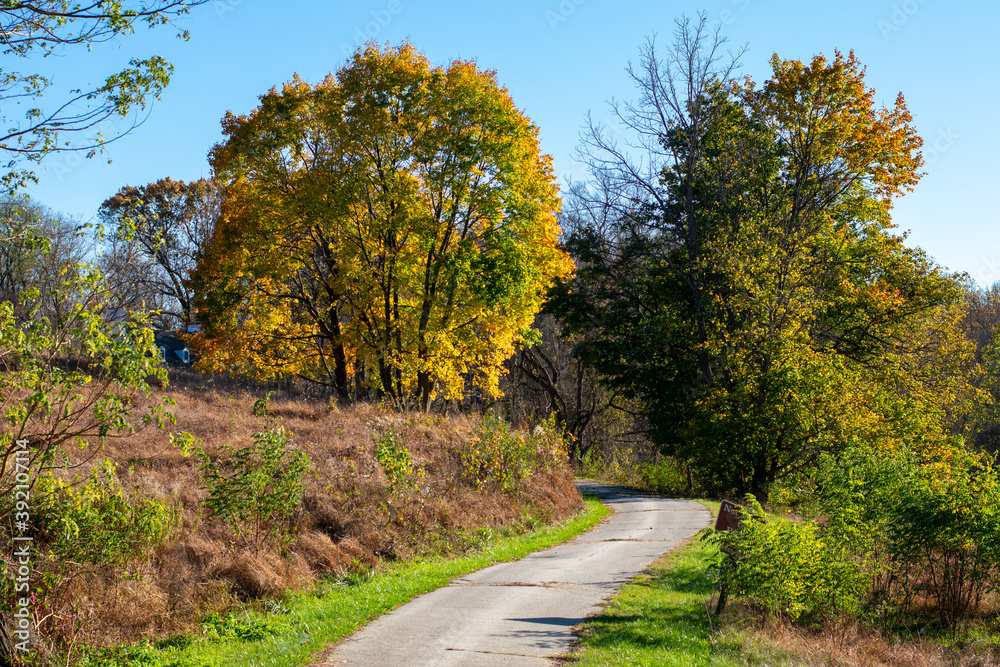 A Pathway Leading Into an Autumn Forest at Valley Forge National Historical Park