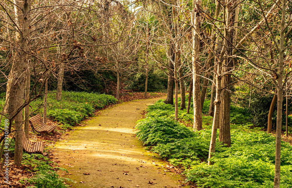 Obraz premium Photograph of a path in the Carmen de los Mártires (Granada)