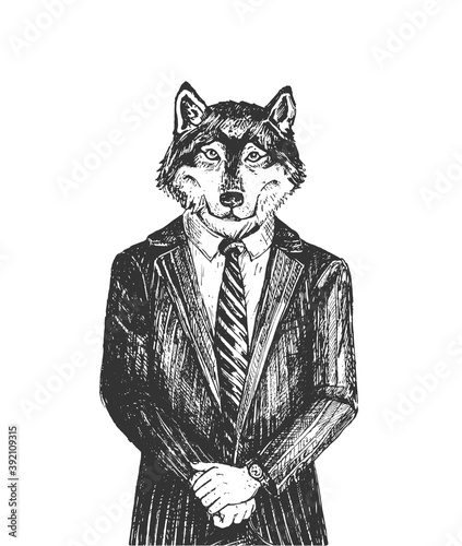 Wolf from wall street portrait