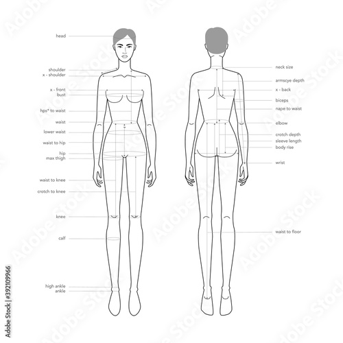 Women body parts terminology measurements Illustration for clothes and accessories production fashion lady size chart. 9 head girl for site and online shop. Human body infographic template