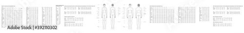Set of men and women body parts terminology measurements and size charts Illustration for clothes and accessories production fashion 9 head male and female size chart. Human body infographic template photo