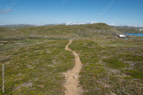 Single track trail of Padjelantaleden Trail though high mountain terrain south of Duottar in Padjelanta national park, Lapland, Sweden photo