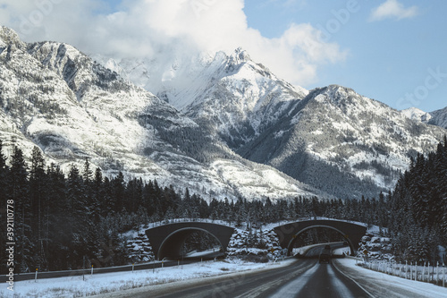 Snow Covered Mountains and Alpine Road Running Under Wildlife Bridges 