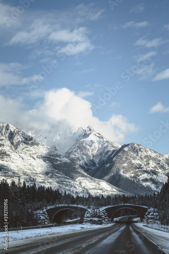 Snow Covered Mountains and Alpine Road Running Under Wildlife Bridges 