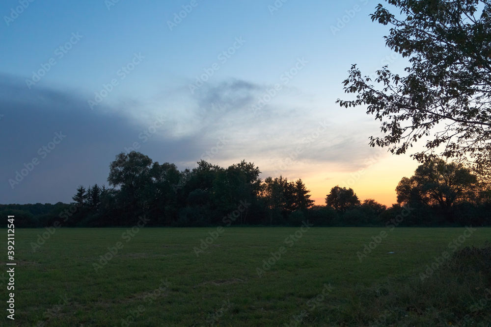 Sunset over the edge of a forest