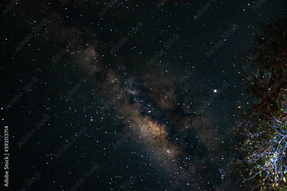 Fototapeta premium African Milky way