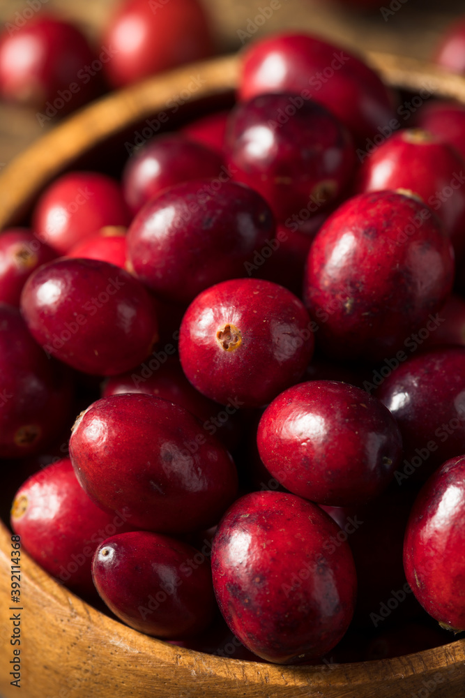 Raw Red Organic Cranberries Raw Red Organic Cranberries