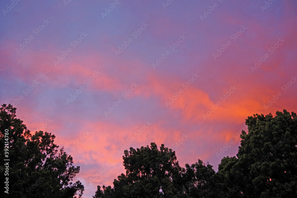 Low angle view of a colorful evening sky with red and purple clouds Low angle view of a colorful evening sky with red and purple clouds