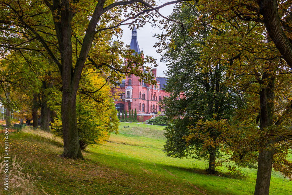 Autumn trees alley with colorful leaves in the park Autumn trees alley with colorful leaves in the park