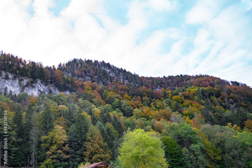 Wald Berge Herbst