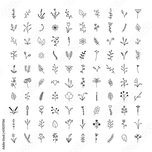 set of hundred vector flowers