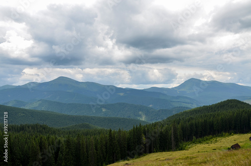 Beautiful natural landscape on Kukul meadow with fir wood, golden valley and Chornohora ridge on background. Carpathian mountains, Ukraine 
