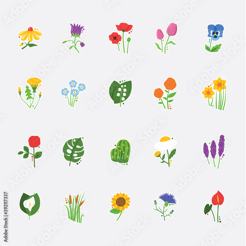 collection of most beautiful flowers