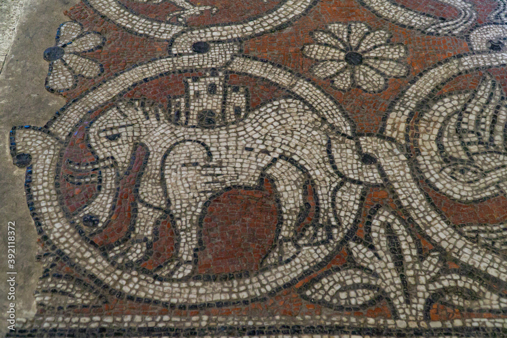 Detail of the mosaic on the floor in the abbey of Ganagobie