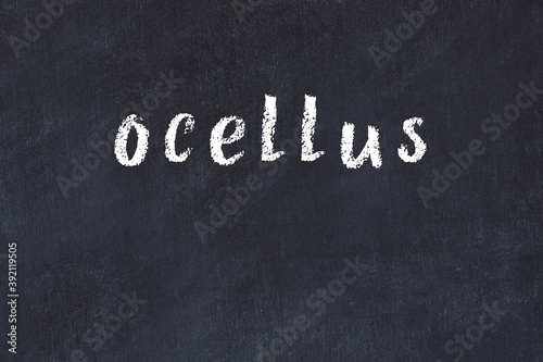 Black chalkboard with inscription ocellus on in