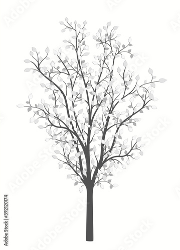 Drawing of a tree with leaves in vintage style on a white background