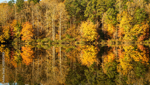 A Lake with Beautiful Autumn Colors