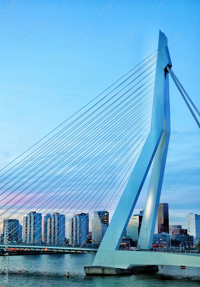 Fototapeta premium city skyline