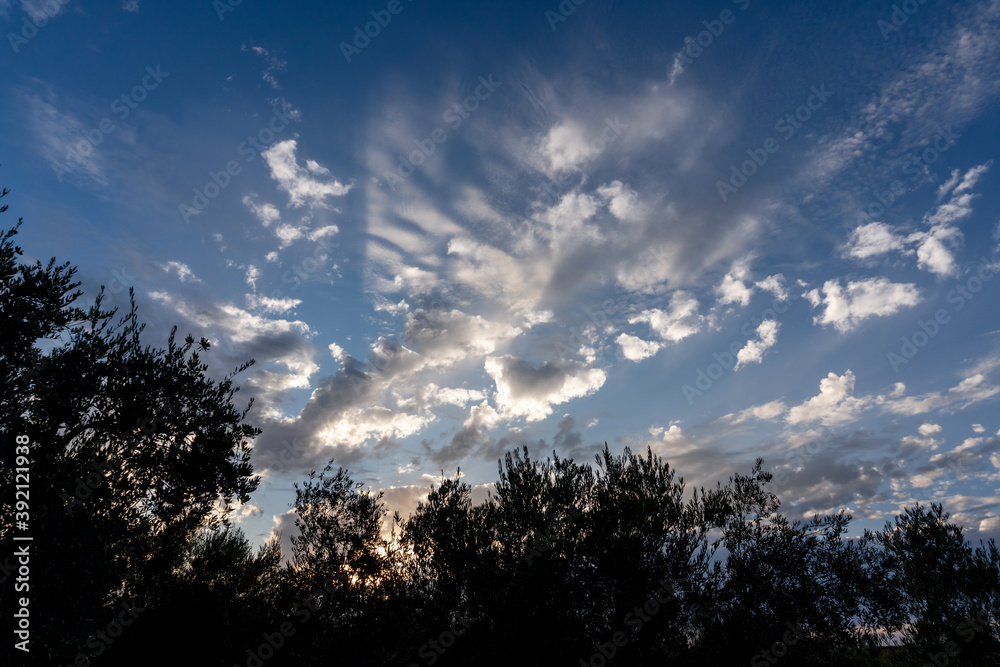 Fototapeta premium Beautiful Evening in Countryside