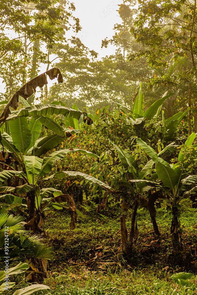 Costa Rica, the border with Panama is the Rio Yorkin. The only way to visit the indian people is a trip by boat. Costa Rica, the border with Panama is the Rio Yorkin. The only way to visit the indian people is a trip by boat.