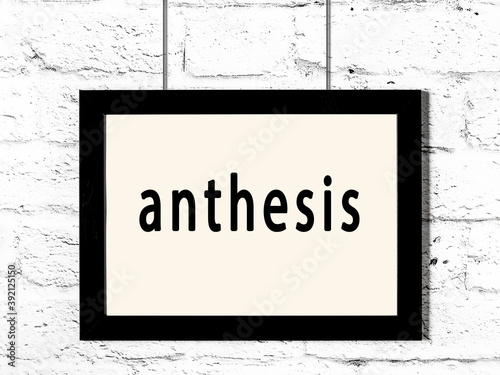 Fotografie Black frame hanging on white brick wall with inscription anthesis