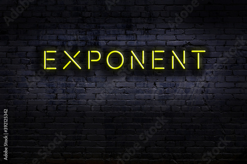 Принти на полотні Night view of neon sign on brick wall with inscription exponent