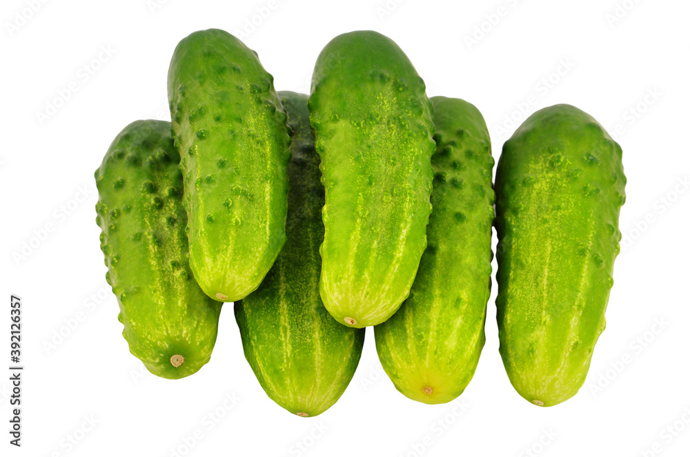 Green cucumber gherkin Green cucumber gherkin