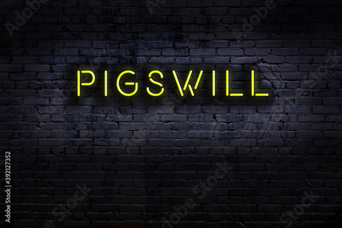 Neon sign. Word pigswill against brick wall. Night view photo