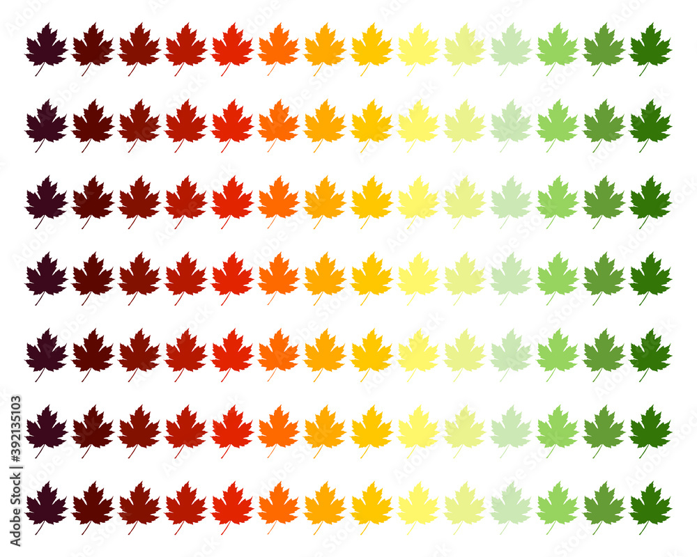 Fall foliage pattern maple leaves