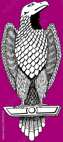 Art depiction of an eagle resembling a sculpture from ancient Rome, in a reddish background and heraldic style. Vector illustration.