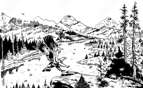 Illustration of an eagle landing on a rock with mountainous landscape covered by a forest crossed by a river. Ink drawing.