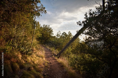 big bend trail