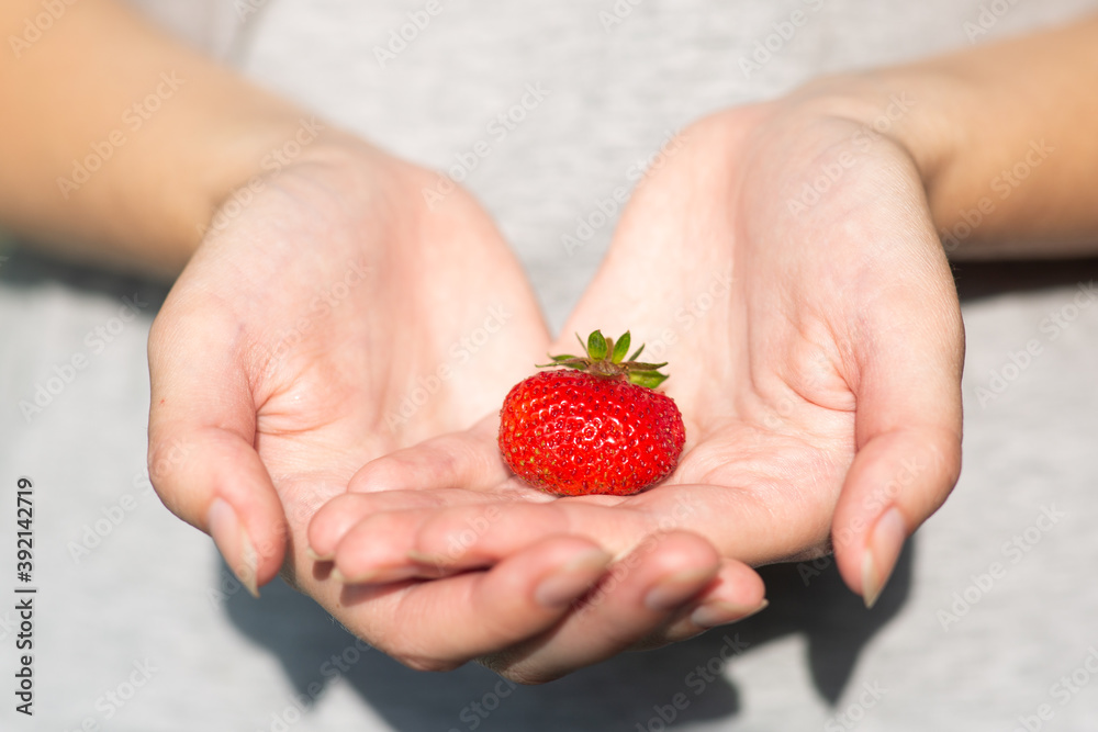 Obraz premium Girl holds tasty strawberries in hands